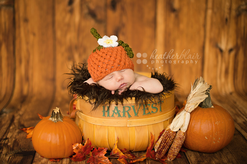Newborn Pumpkin Hat
